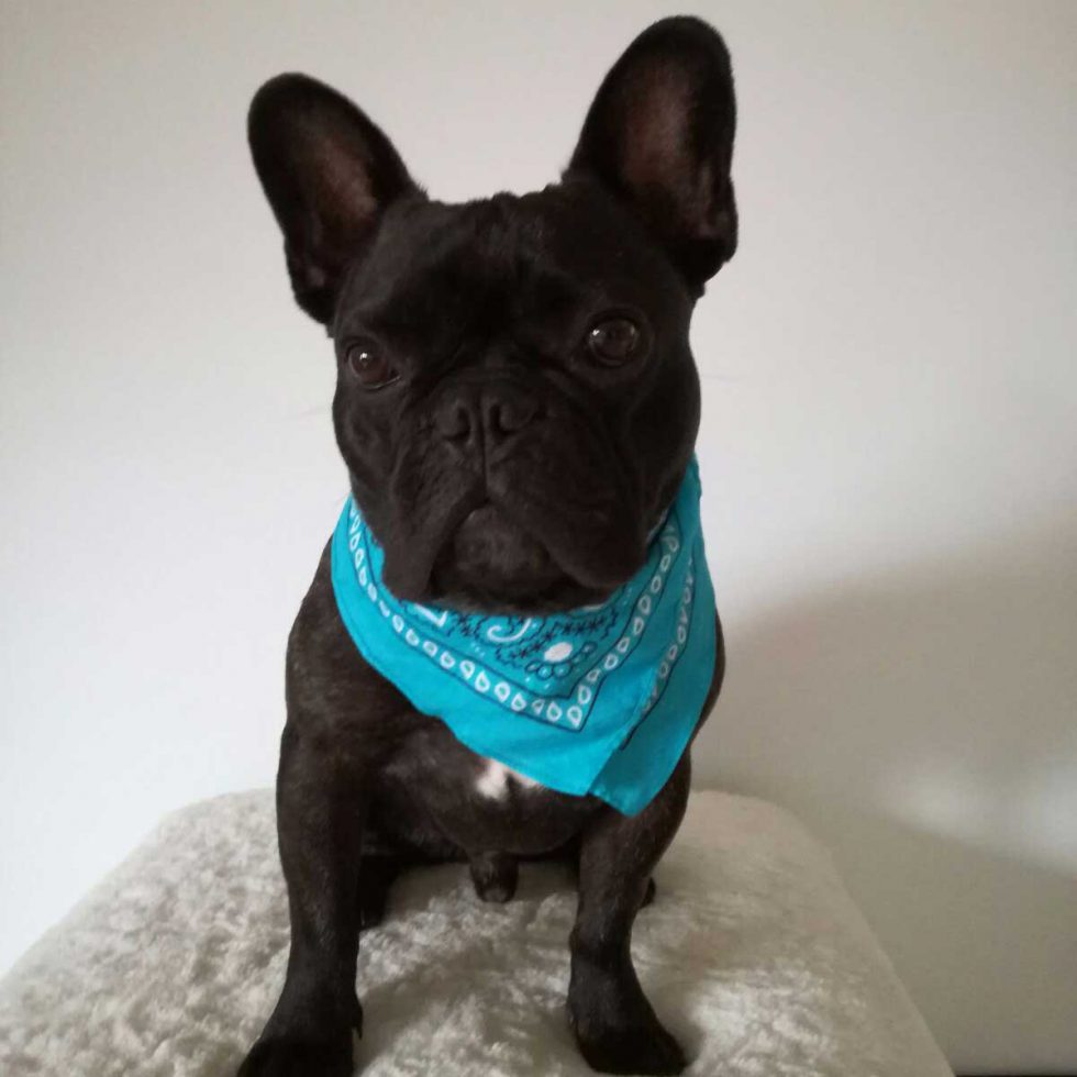 Curtis Erfahrungsbericht Dr. Evelyn Kusan